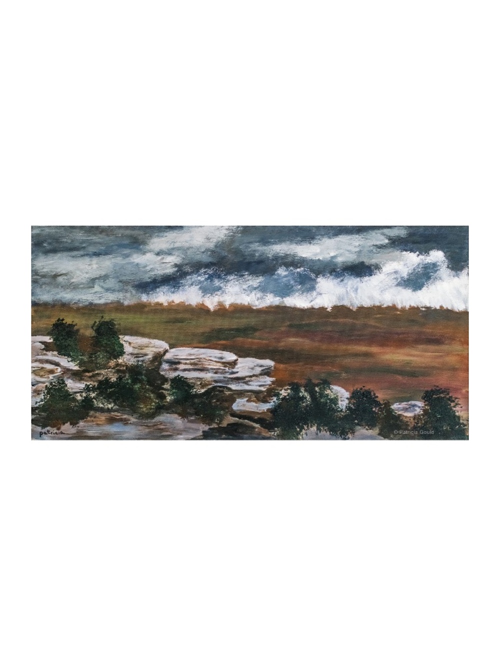 HOPING FOR RAIN - original acrylic painting on canvas